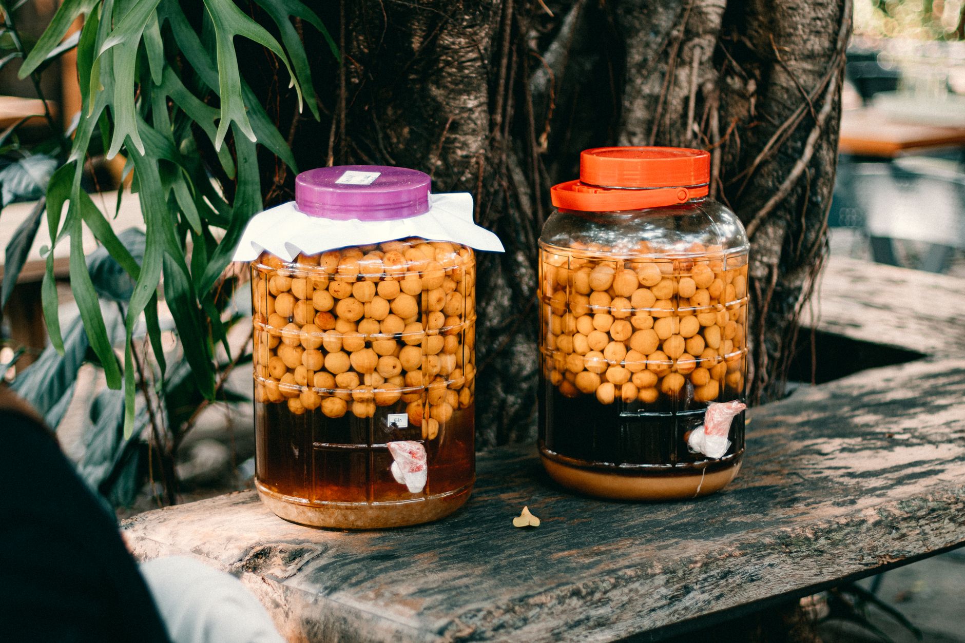 Two jars filled with preserved fruits resting on a rustic outdoor wooden table.